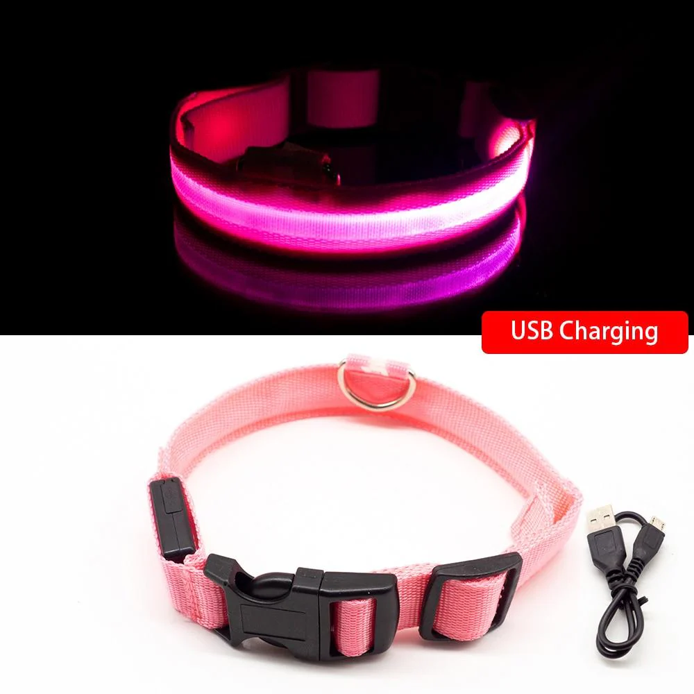 Coleira para Cães - LED (USB) - Image 4