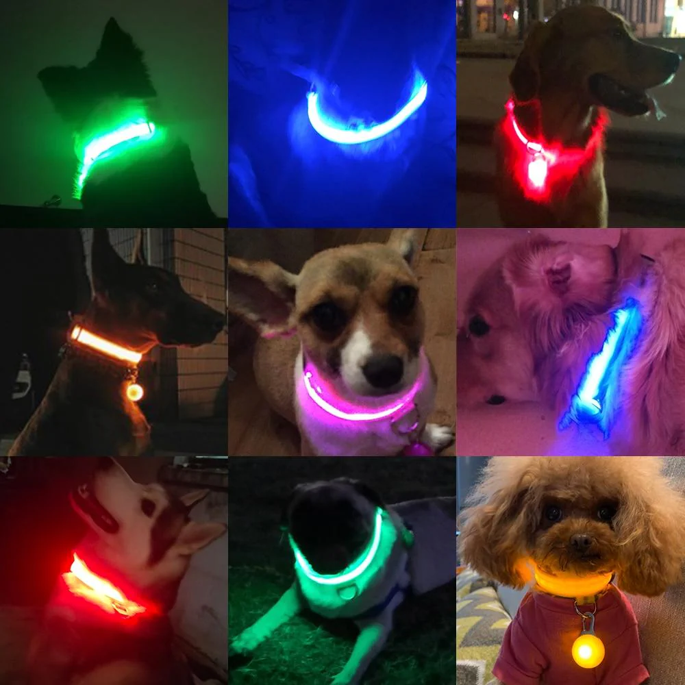 Coleira para Cães - LED (USB) - Image 7